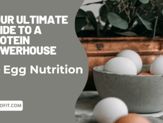 Egg Nutrition